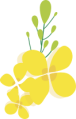 4f5c3ef343fb4ccb8c8b820d3fdf0251.Png