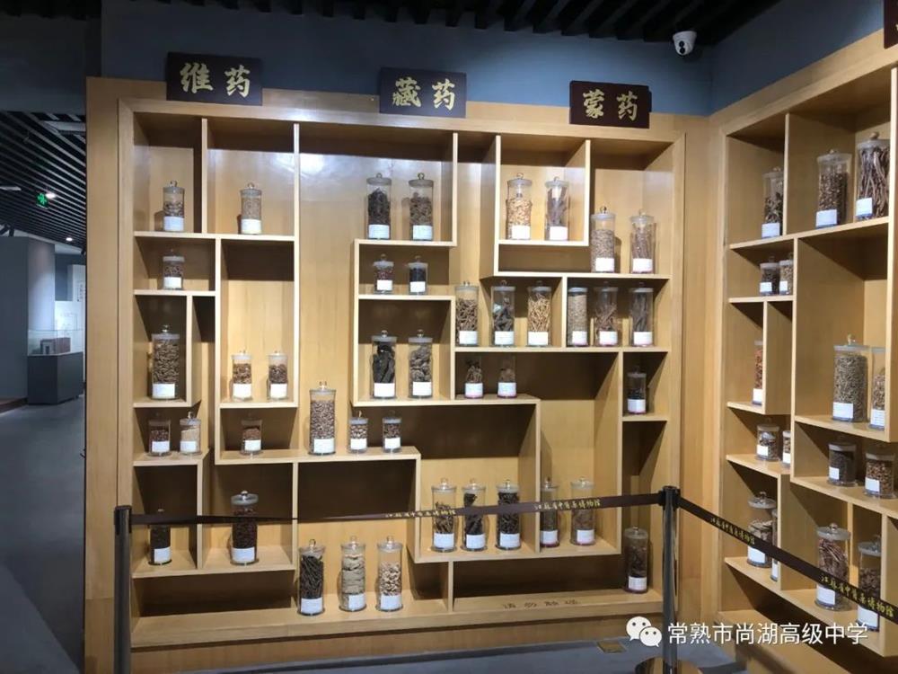 f2f556cf6b67445182ae711c522e4121.Jpeg