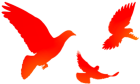 a3d6efe26ab74f6b80824a3aa81aa52b.Png
