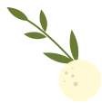 7cc0196e733d4c61a318e5423dd9d377.Png