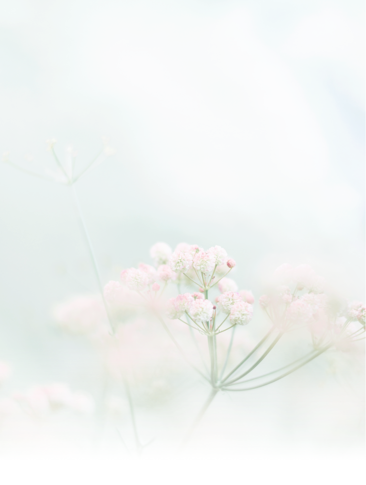 b5163796eb844ac8a7d11af12af6ba34.Png