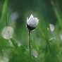 d7aab42059ae4772bb356d1ccb125f77.Png
