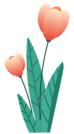 e53c2c01f20a4831939debe437a82e51.Png