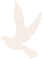 f9a20275c596414784f5eb0bc697db55.Png